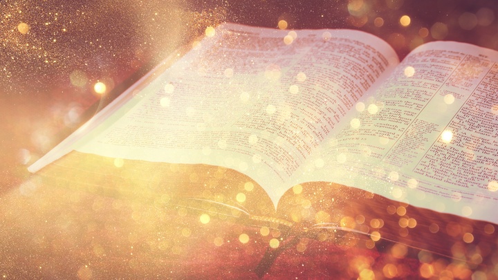 Logo for Treasure Seekers