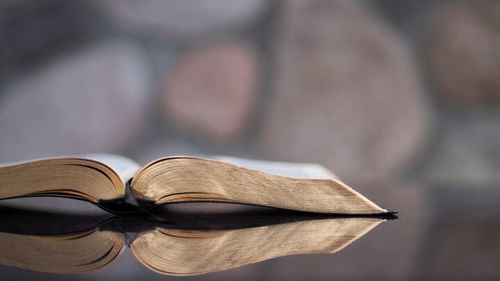 Logo for Special Needs Bible Study