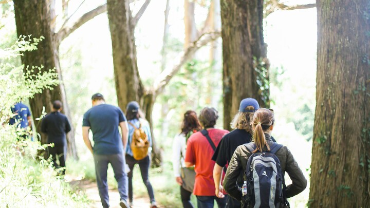 Logo for Talking the Talk, Walking the Walk (Saturdays at 7am)