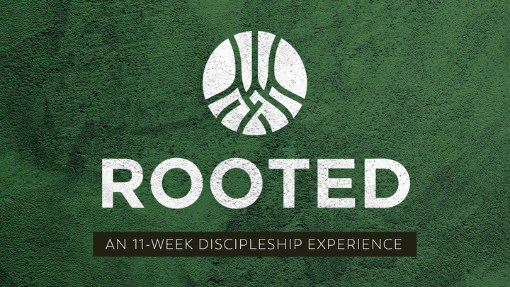 Logo for Interested in Rooted at Farmers Branch?