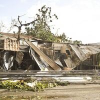 Logo for Disaster Relief (Standing)