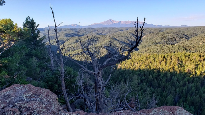 Logo for Fully Alive Men's Group