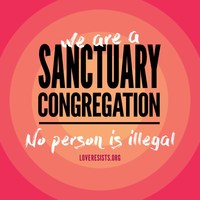 Sanctuary Volunteer Crew