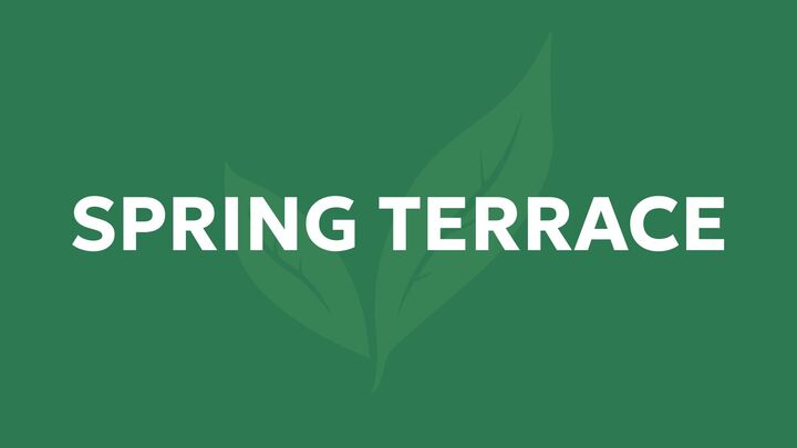 Logo for Spring Terrace Life Group