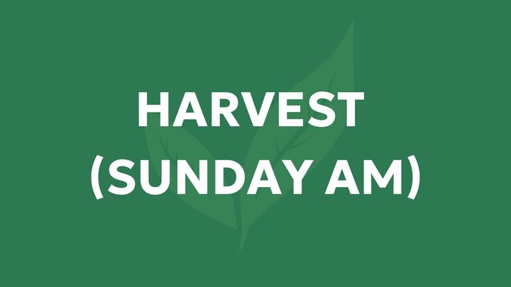 Logo for Harvest Life Group (Sundays)