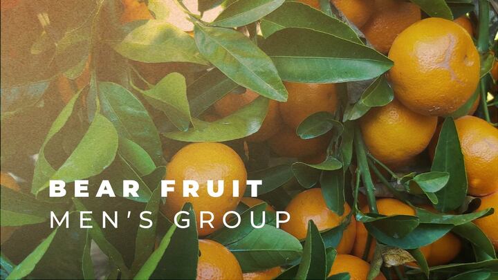 Logo for Bear Fruit Men's Group