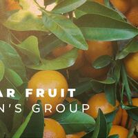 Logo for Bear Fruit Men's Group