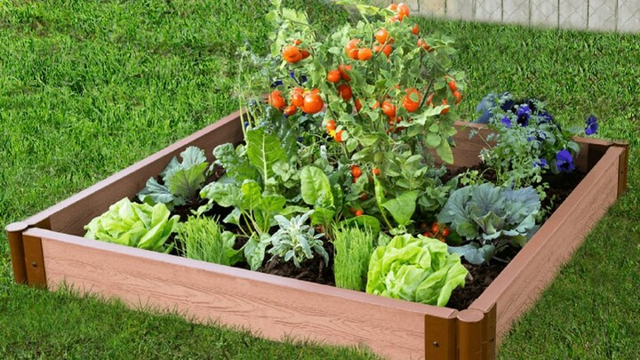 Logo for Planter Box Project at Snyder Elementary School