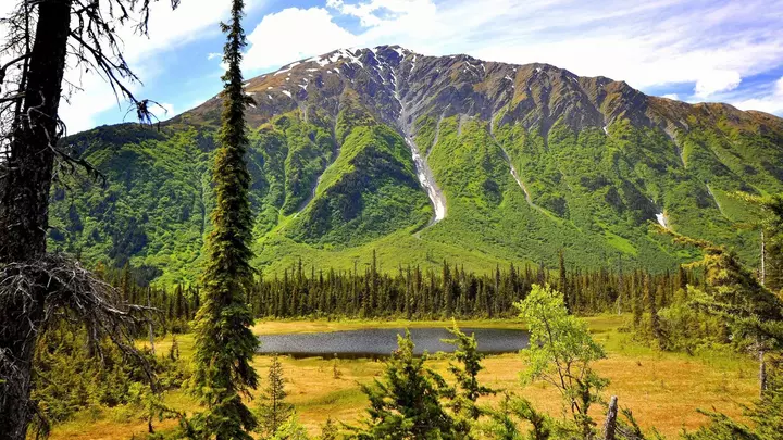 Logo for Family Outdoor Ministry