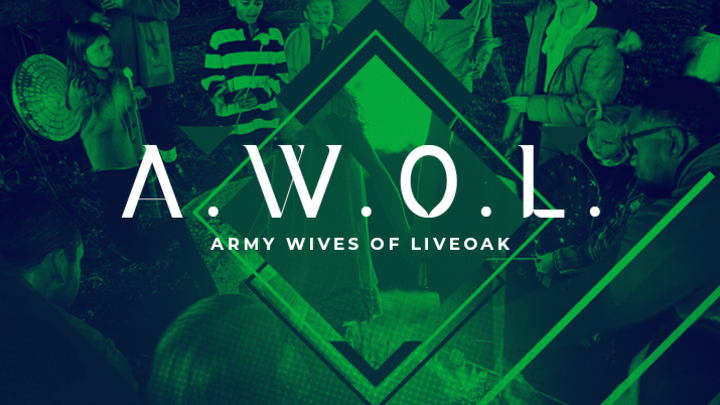 Logo for AWOL