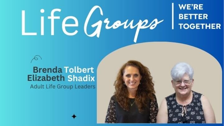 Logo for Tolbert & Shadix / Women