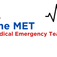 Logo for The MET