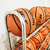 Logo for Harmony Basketball
