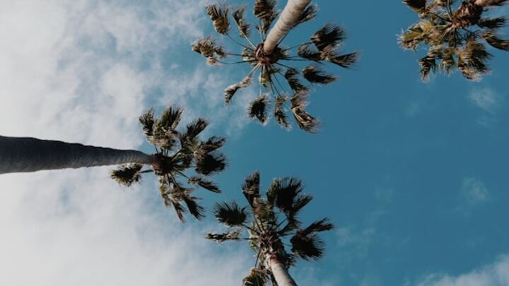 Logo for Thrive 35:45