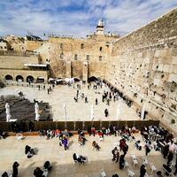 Logo for Daily Tefillah Adat Prayer