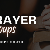 Logo for Prayer Group - New Hope South