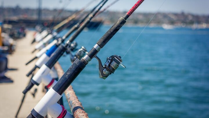 Logo for H3 - Helping Hearts and Hands