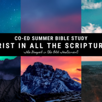 Logo for Co-Ed Summer Bible Study