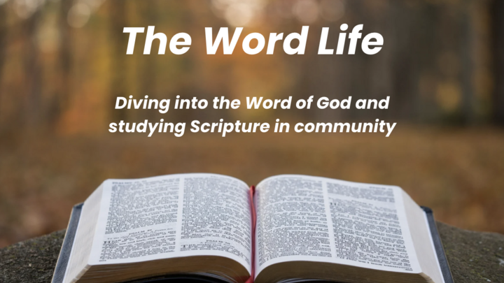 Logo for The Word Life
