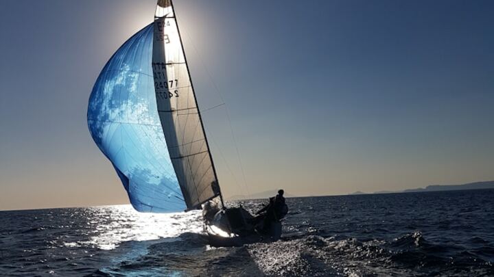 Logo for sejler sejlbåd