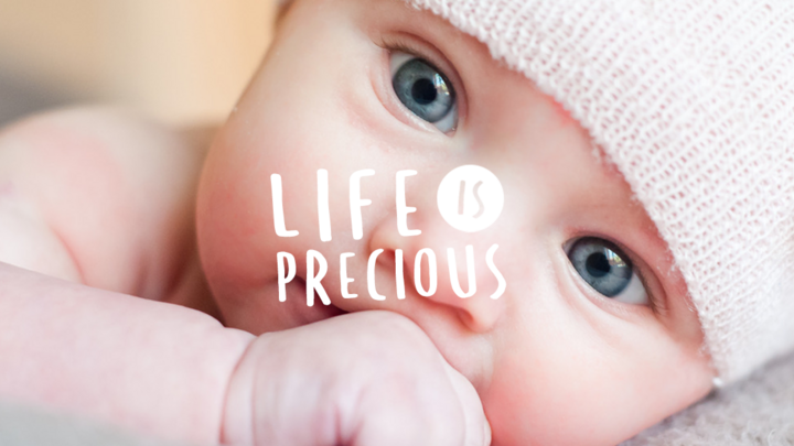 Logo for Pro-Life Group