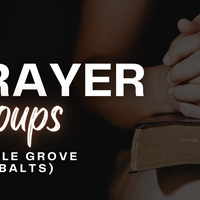 Logo for Prayer Group - Maple Grove (Balts)