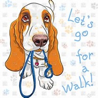 Activity -- Paws 4 Prayer