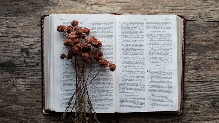 Logo for Men's Bible Study