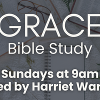 Logo for Bible Study - Genesis