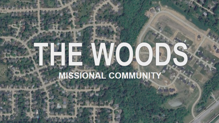 Logo for MC - The Woods