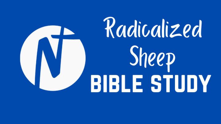 Logo for Radicalized Sheep
