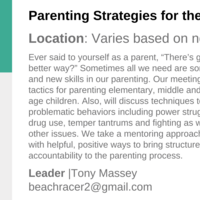 Logo for Parenting Strategies for the Real World