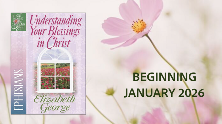 Logo for WBBS | Ephesians (Carter)