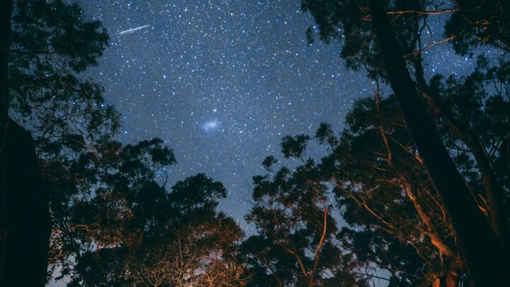 Logo for Camping Trip