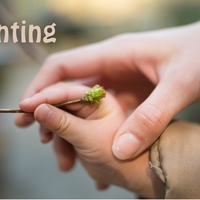 Logo for Parenting-Leaders Jared & Joy Judd