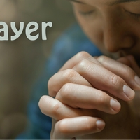 Logo for Prayer-Carla Liermann