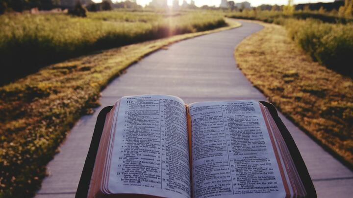 Logo for Manna (Se Habla Español- Bilingual)