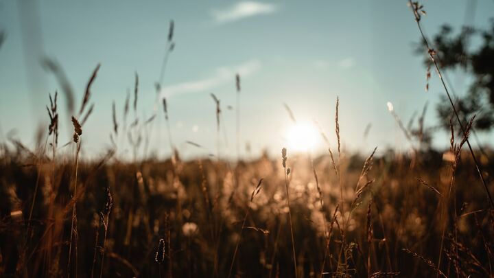 Logo for Amelia Community Group