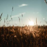 Logo for Amelia Community Group