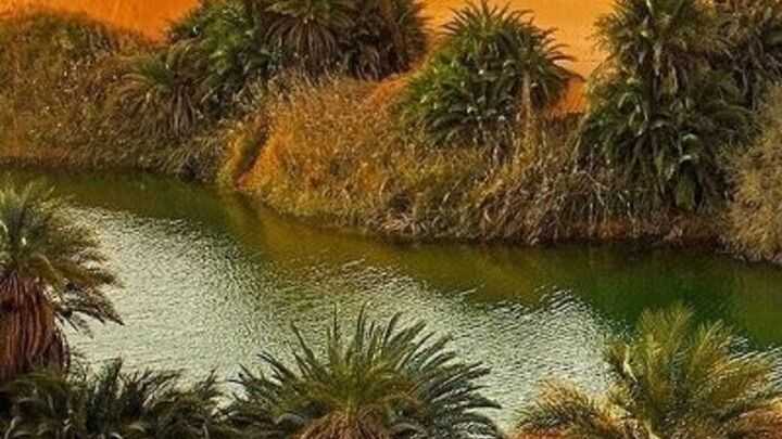 Logo for Groupe Salam-Azoul