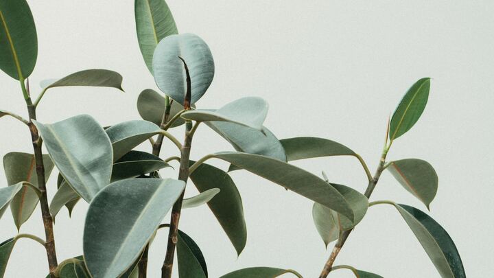 Logo for M. Kilpela Community Group