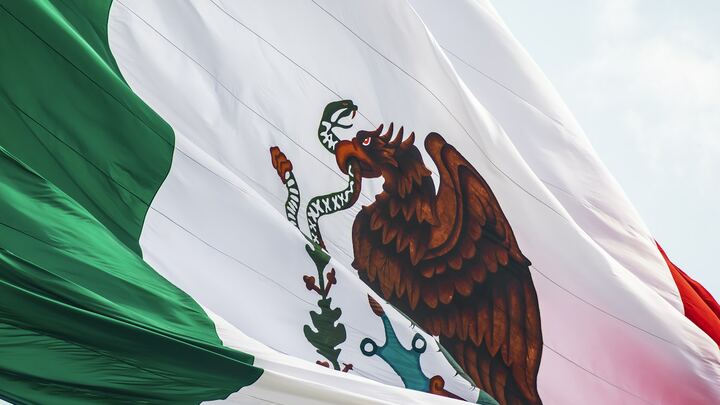 Logo for Short Term Trips to Mexico