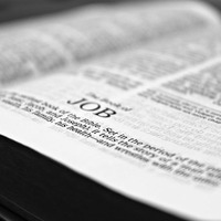 Wednesday Night Women's Bible Study