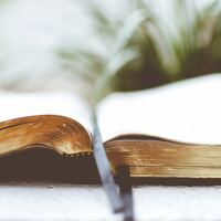 Logo for Confirmation