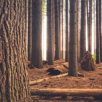 Logo for Dave | Mondays 6:30pm | Coquitlam