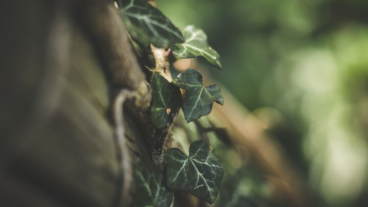 Logo for Read Postgrad (early 20s) Apprentice Group