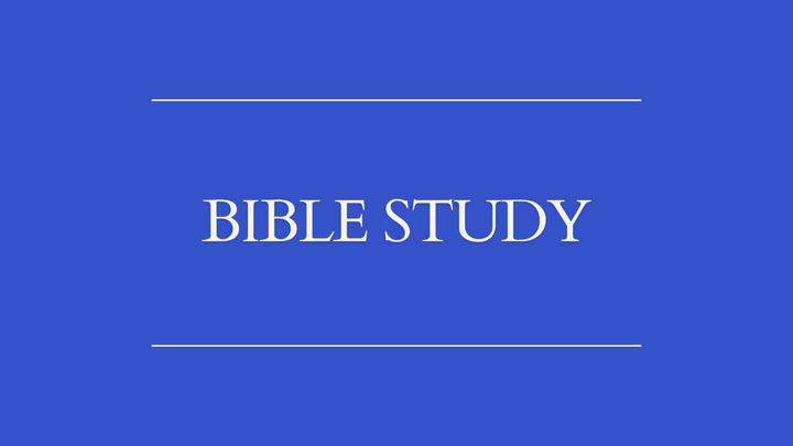 Logo for Co-Ed | Efrain & Waleska Beltran