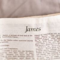 Logo for James Study: Alan Smith—Holly Springs