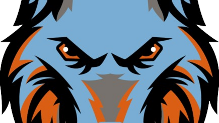 Logo for Ballantyne Ridge High School