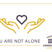 Logo for Choosing Hope Adoption Meal Train